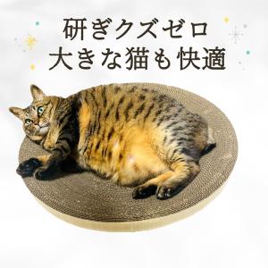 とぎかすゼロ 6ヵ月使える高耐久 猫 爪研ぎ ぽっちゃり猫OK 獣医師監修 爪とぎ つめとぎ ワイド段ボール 大型サイズ 丸型 円 にゃんこの宿