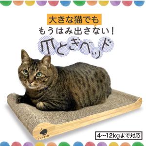 大きな猫 ぽっちゃり猫でもはみ出さない 猫 爪とぎ つめとぎ ダンボール 大きいサイズ にゃんこの宿 爪研ぎ ねこ 猫 ベッド ネコ｜シューズ スニーカー ベルト R.A.N