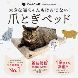 とぎかすゼロ 1年使える高耐久 猫 爪研ぎ ぽ...の詳細画像2