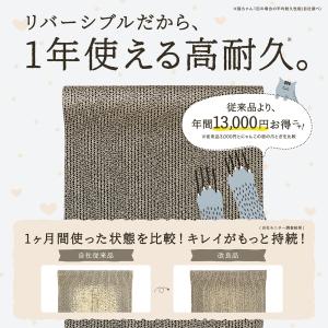 とぎかすゼロ 1年使える高耐久 猫 爪研ぎ ぽ...の詳細画像5