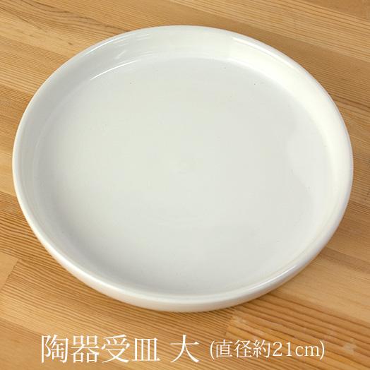 『陶器 受け皿 大（直径21cm）』 ◆白陶器【植物と一緒に購入で送料無料】≪単品購入不可≫[g-u...