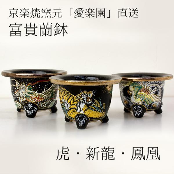 ◆京楽焼窯元「愛楽園」直送◆『富貴蘭鉢　虎・新龍・鳳凰』 3.0号 3.3号 3.5号 錦鉢 [g-...