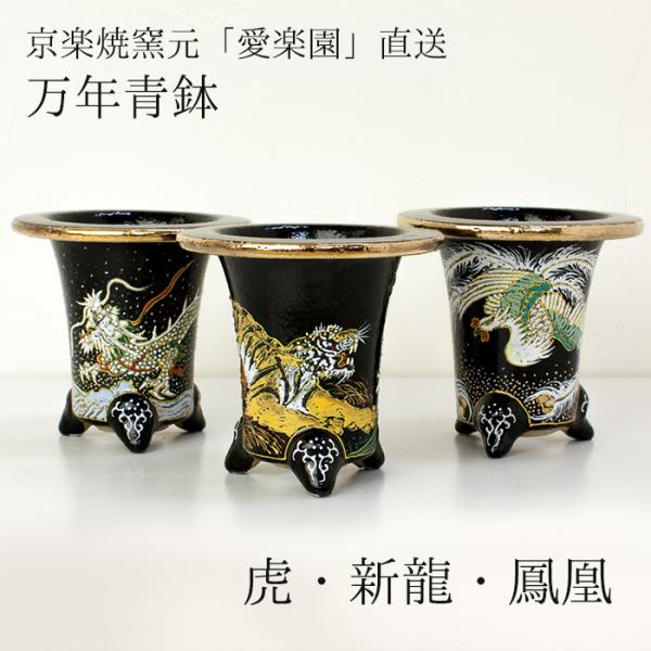 ◆京楽焼窯元「愛楽園」直送◆『万年青鉢（おもと鉢） 虎・新龍・鳳凰』 3.0号 3.3号 3.5号 ...