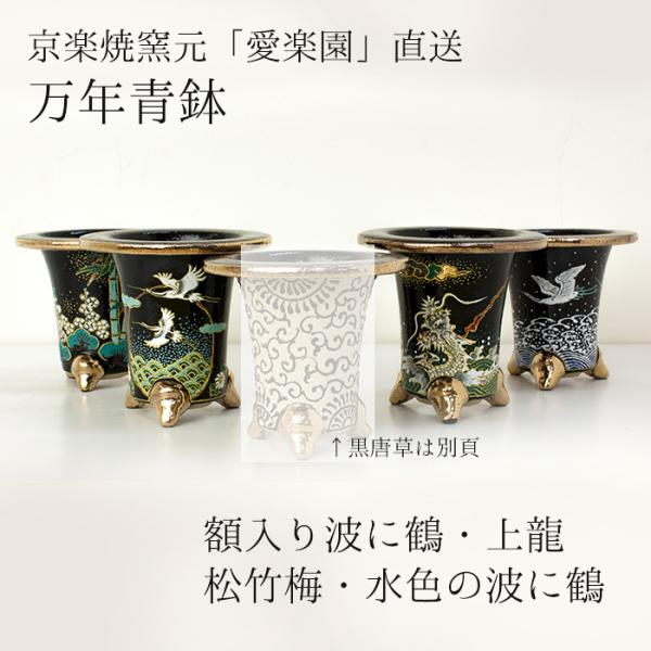 ◆京楽焼窯元「愛楽園」直送◆『万年青鉢（おもと鉢） 額入り波に鶴・上龍・松竹梅・水色の波に鶴』 3....