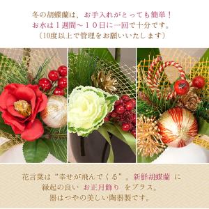 2025-2026 お歳暮 お年賀 限定 ミデ...の詳細画像3