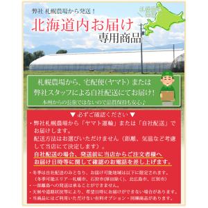 【北海道宛専用】 胡蝶蘭 中輪〜中大輪「氷晶」...の詳細画像1