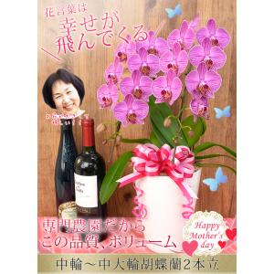 【2026母の日限定】 水分計サスティー付♪ ...の詳細画像2