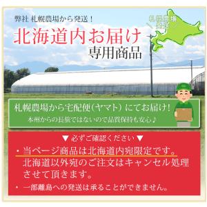 【北海道宛専用】【2026母の日限定】 水分計...の詳細画像2