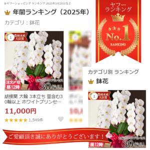 ★今ならボリュームUPも★ 胡蝶蘭 大輪 3本...の詳細画像2