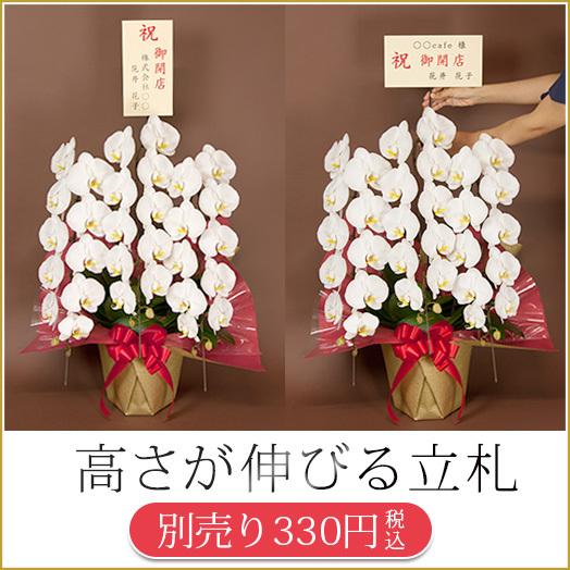 ≪単品購入不可≫ 名前が目立つ『高く伸びてお花の上に立つ！立札棒』(伸びる 伸縮 立札 お花の上) ...