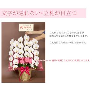 立札を花の上に目立たせる『立札棒』付 木目紙製...の詳細画像2
