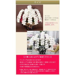 【東海3県(愛知・岐阜・三重)宛 限定】胡蝶蘭...の詳細画像5