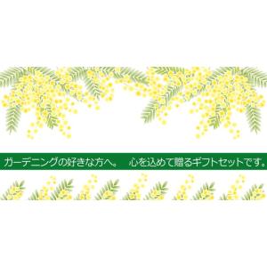 【ゆうパケット送料無料】『ガーデニング ギフト...の詳細画像1