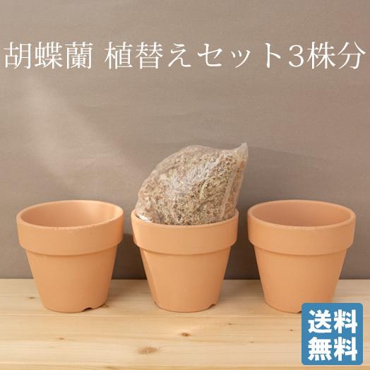 ３株分　3.5号　3.8号　自分で育てる楽しみ　胡蝶蘭用 植替えセット　胡蝶蘭の育て方リーフレット付...