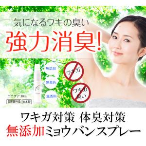 ミョウバンスプレー 無添加 無香料 わきが 対...の詳細画像1