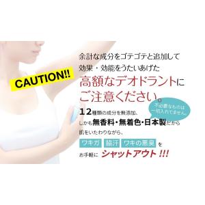 ミョウバンスプレー 無添加 無香料 わきが 対...の詳細画像2