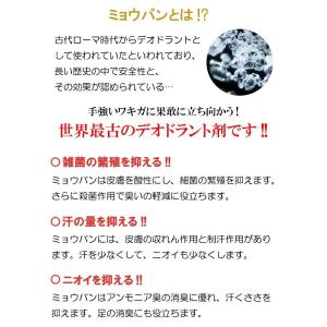 ミョウバンスプレー 無添加 無香料 わきが 対...の詳細画像5