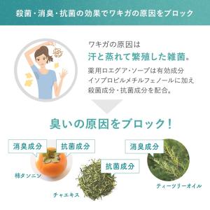 ワキガ 体臭 薬用 石鹸 ロエグア デオドラン...の詳細画像3