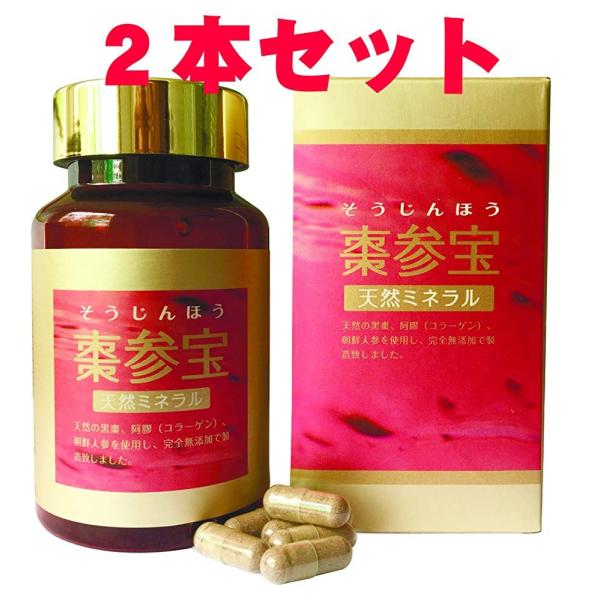 棗参宝（そうじんほう） 330mg×100粒入り ２本セット