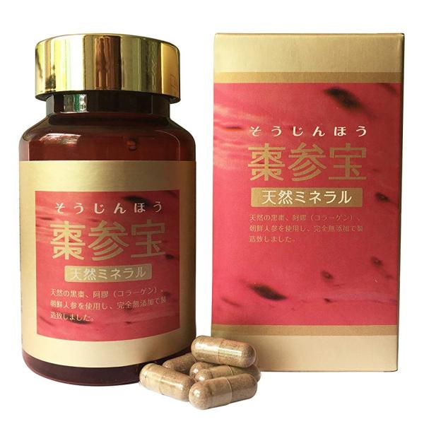 棗参宝（そうじんほう） 330mg×100粒入り