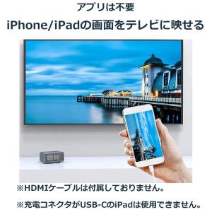 iPhone HDMI 変換ケーブル テレビに...の詳細画像1