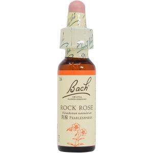 バッチフラワーレメディ 21マスタード ノンアルコープタイプ 10ml