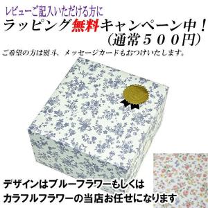 南部鉄器 鉄瓶 アラレ 急須 7型 7号 岩鋳...の詳細画像1
