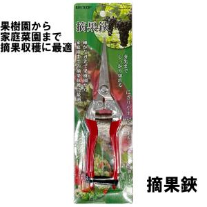摘果鋏　てきかはさみ　園芸　果物/野菜/家庭菜園/芽切り　ビニールコーティング加工　疲労軽減 ネコポス 送料無料