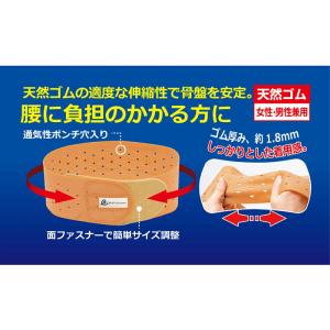 【2個セットプラス1個プレゼント】 1個あたり...の詳細画像1