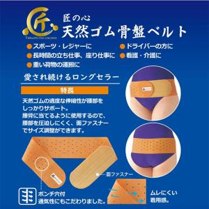 【2個セットプラス1個プレゼント】 1個あたり...の詳細画像2