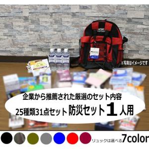防災セット 1人用 防災セット 防災25種類31点セット 地...