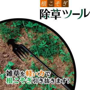 根こそぎ除草ツール EDN-439 ガーデニン...の詳細画像3