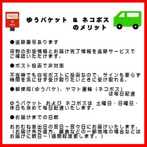 しなるツメヤスリ G-1043 匠の技 GRE...の詳細画像2