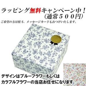 南部鉄器 鉄瓶 アラレ 急須 7型 7号 岩鋳...の詳細画像1