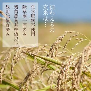 「有吉クイズ」で紹介 寝かせ玄米・もち麦ブレン...の詳細画像4