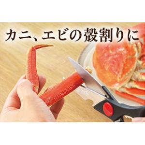 カクセー正規販売店 中村孝明 キッチンバサミ ...の詳細画像3