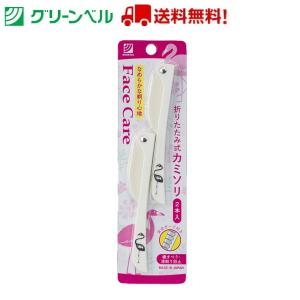折りたたみ式カミソリ ２本入 PSG-051 カミソリ 剃刀 産毛 眉毛サロン アイブロウ グリーンベル お手入れ 衛生 清潔 スピード配送 ネコポス 送料無料