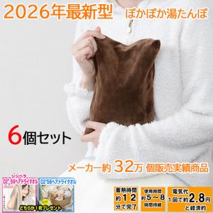 WETECH 2026年型最新 湯たんぽ 2個セット 【ヘアドライタオル