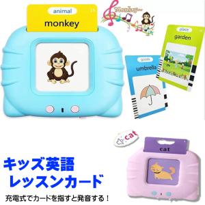 キッズ英語レッスンカード ピンク・ブルーWJー9222,9223 キッズ 子供 イングリッシュ 英語 知育 知育玩具 おもちゃ子供 英単語 学習 勉強｜rankup