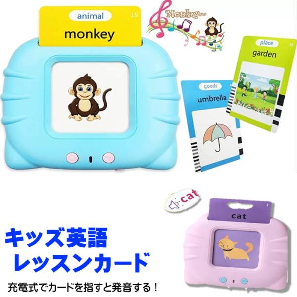 キッズ英語レッスンカード ピンク・ブルーWJー9222,9223 キッズ 子供 イングリッシュ 英語...