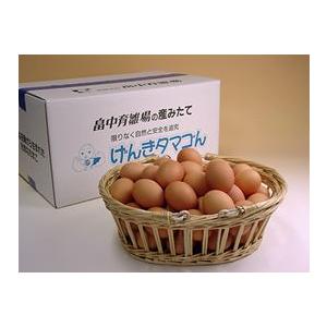 卵 鶏卵 美味しい卵 普段使い卵160個入（特撰吟味夕映卵）