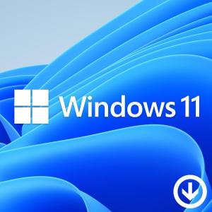 Windows 11 Professional プロダクトキー [Microsoft] 1PC/ダウンロード版