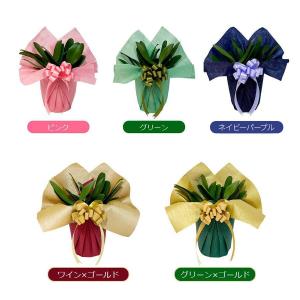 大輪胡蝶蘭 5本立ち こちょうらん お祝い 就...の詳細画像1