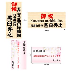 大輪胡蝶蘭 5本立ち こちょうらん お祝い 就...の詳細画像2