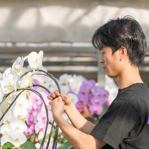 胡蝶蘭 特注 関東限定 白大輪胡蝶蘭7本立ち ...の詳細画像5