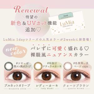 【15%OFF】 ルミア2week 1箱6枚 ...の詳細画像1