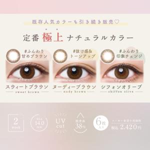 【15%OFF】 ルミア2week 1箱6枚 ...の詳細画像2