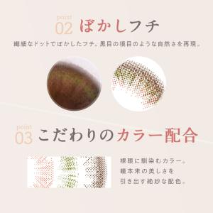 【15%OFF】 ルミア2week 1箱6枚 ...の詳細画像4
