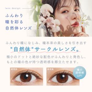 【15%OFF】 ルミアコンフォートワンデーサ...の詳細画像2