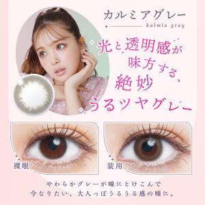 【20%OFF/1箱分OFF】アプデ(U.P....の詳細画像4